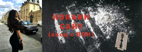 стафф Алексин