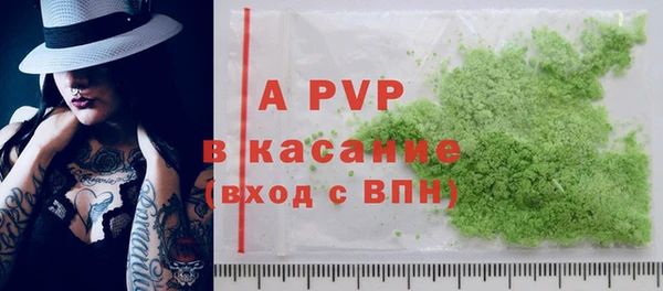 стафф Алексин