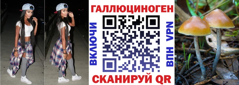 Галлюциногенные грибы прущие грибы  Десногорск 